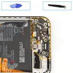 How to disassemble Huawei Nova 11, Step 11/1