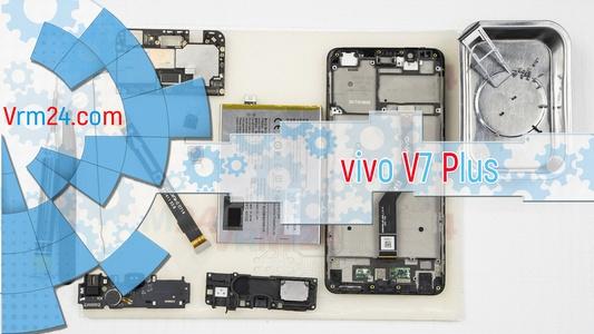 Technical review vivo V7 Plus