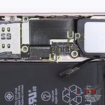 Как разобрать Apple iPhone SE, Step 11/4