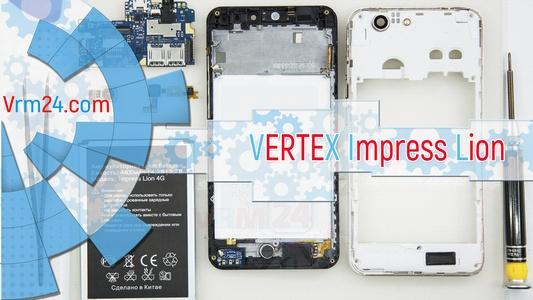 Technical review VERTEX Impress Lion