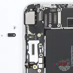 How to disassemble Apple iPhone 6 Plus, Step 8/3