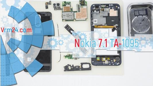 Technical review Nokia 7.1 TA-1095