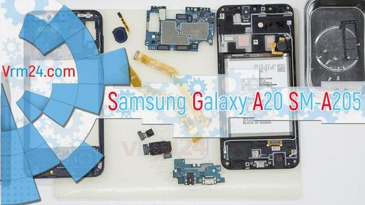 Technical review Samsung Galaxy A20 SM-A205