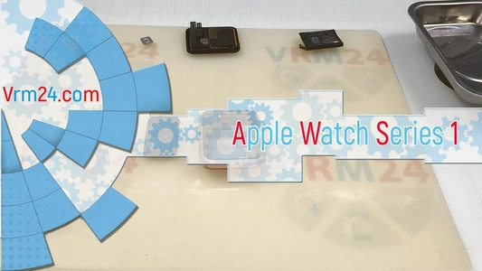 Revisão técnica Apple Watch Series 1