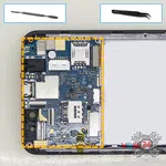 How to disassemble Fly Life Compact 4G, Step 8/1