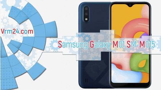 Technical review Samsung Galaxy M01 SM-M015