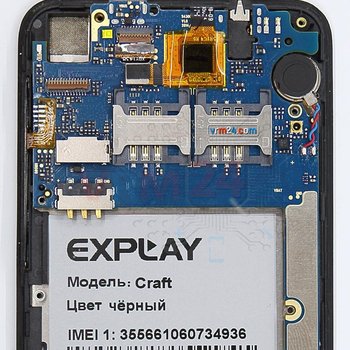 Explay_Craft_Motherboard_4a.jpg