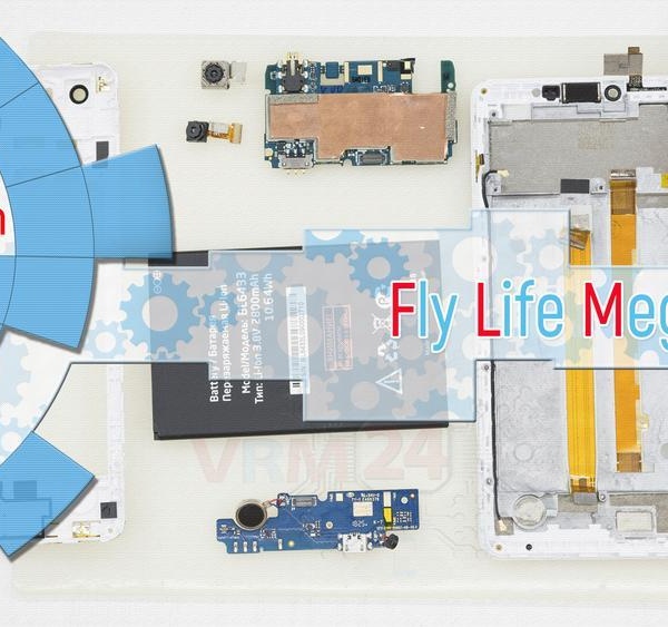 Fly Life Mega