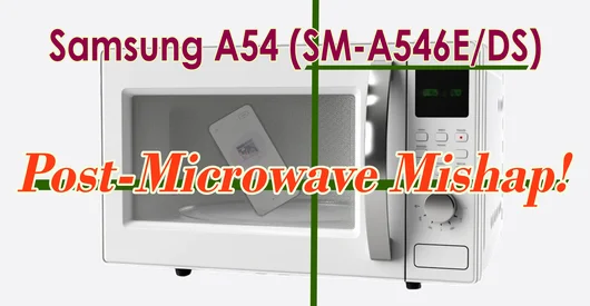 Samsung A54 (SM-A546E/DS) Post-Microwave Mishap