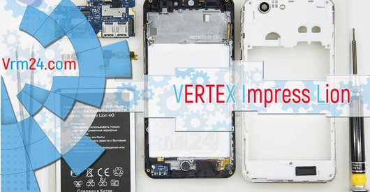 Test technique de VERTEX Impress Lion