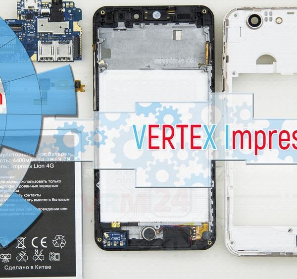 VERTEX Impress Lion