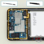 Remove the motherboard