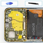 Remove the motherboard