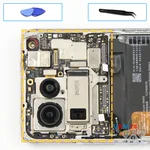 Remove the motherboard