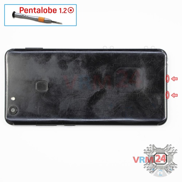 Desenrosque los tornillos