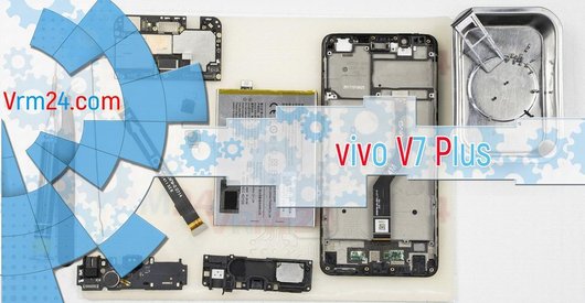 Revisión técnica de vivo V7 Plus